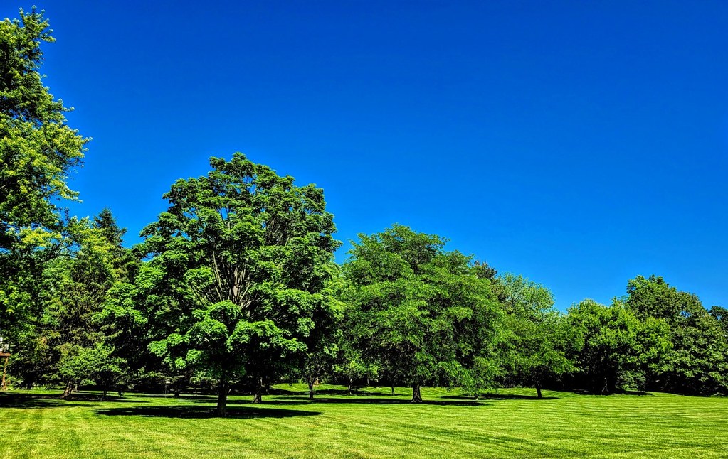 Wonderful sunny weather in western Ohio May 2023 Flickr
