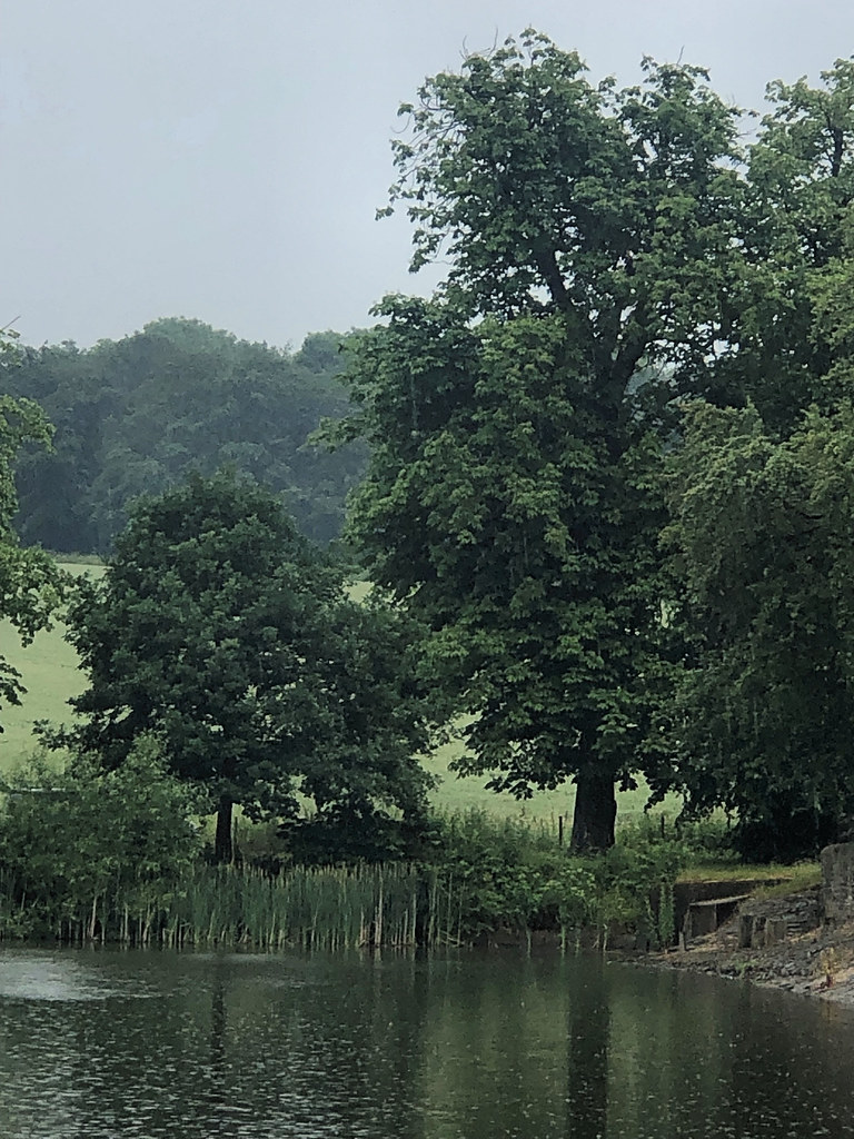 Morley Pond. Wentworth Estate. Glynn Wormley Flickr