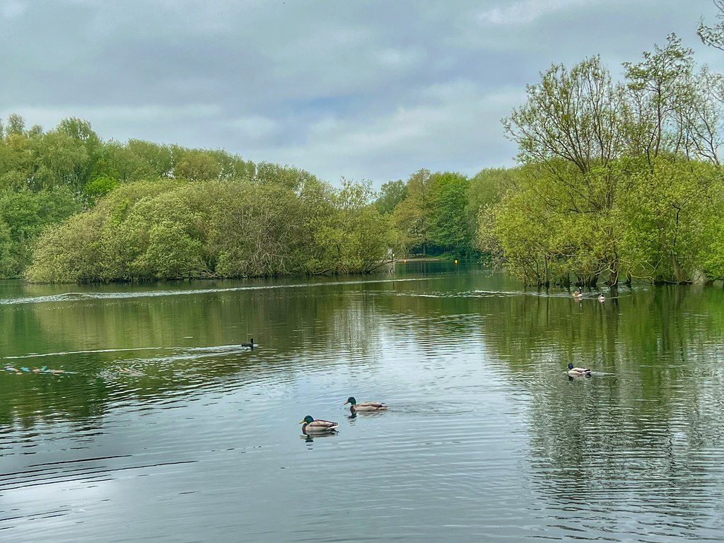 Kingsbury Water Park Kingsbury Water Park cattan2011 Flickr