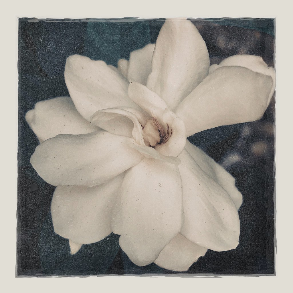 Untitled Jean Loup FOSSETTE Flickr