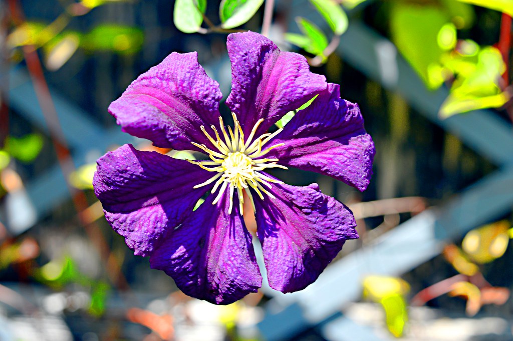 A few from today 😁 Sharon Dilworth Flickr