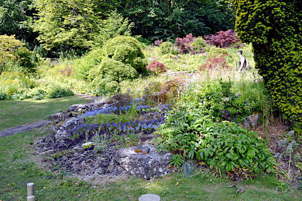 A few from today 😁 Sharon Dilworth Flickr