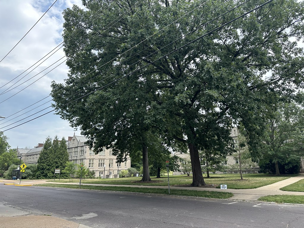 University Ave garage is around here somewhere We just reg… Flickr