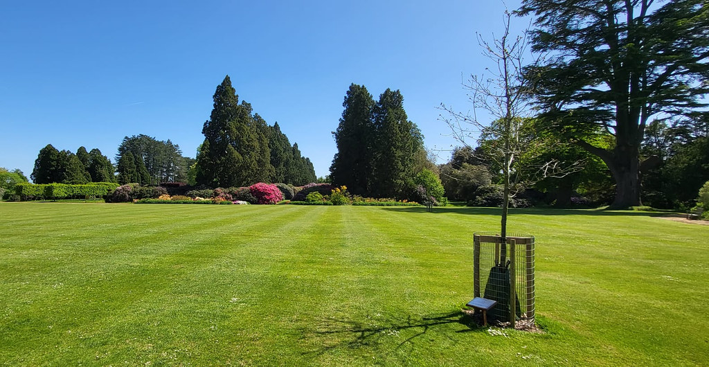 Ashford gardens carojonson Flickr