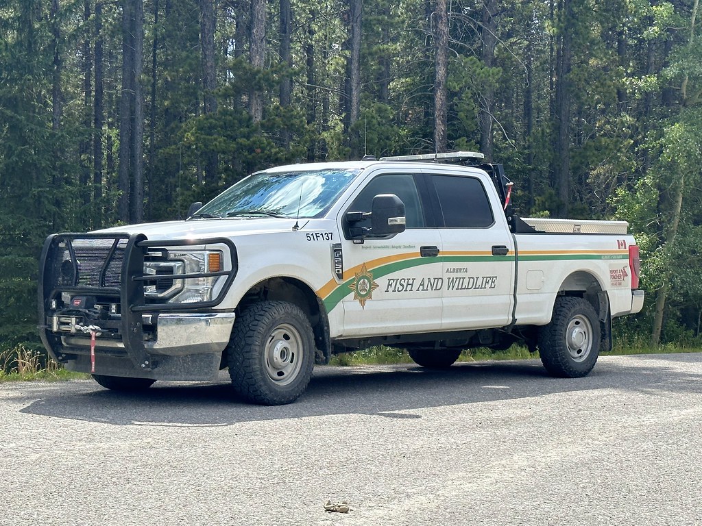 Alberta Fish and Wildlife Canada Emergency Photography Flickr