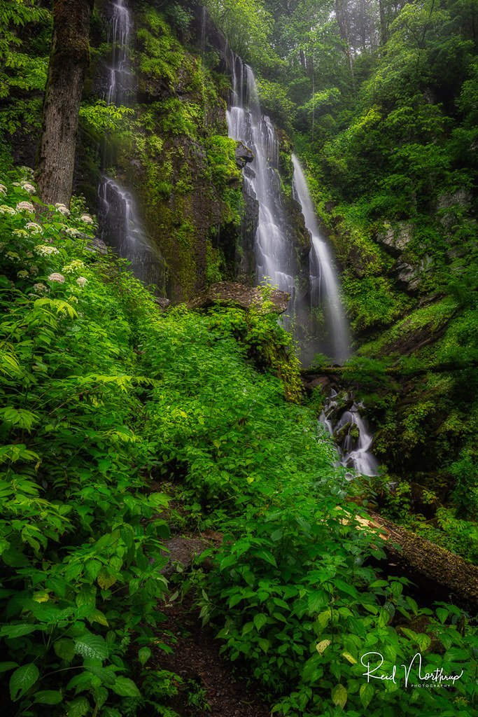 Lee Falls Visited Lee Falls near Tamassee, SC yesterday. I… Flickr