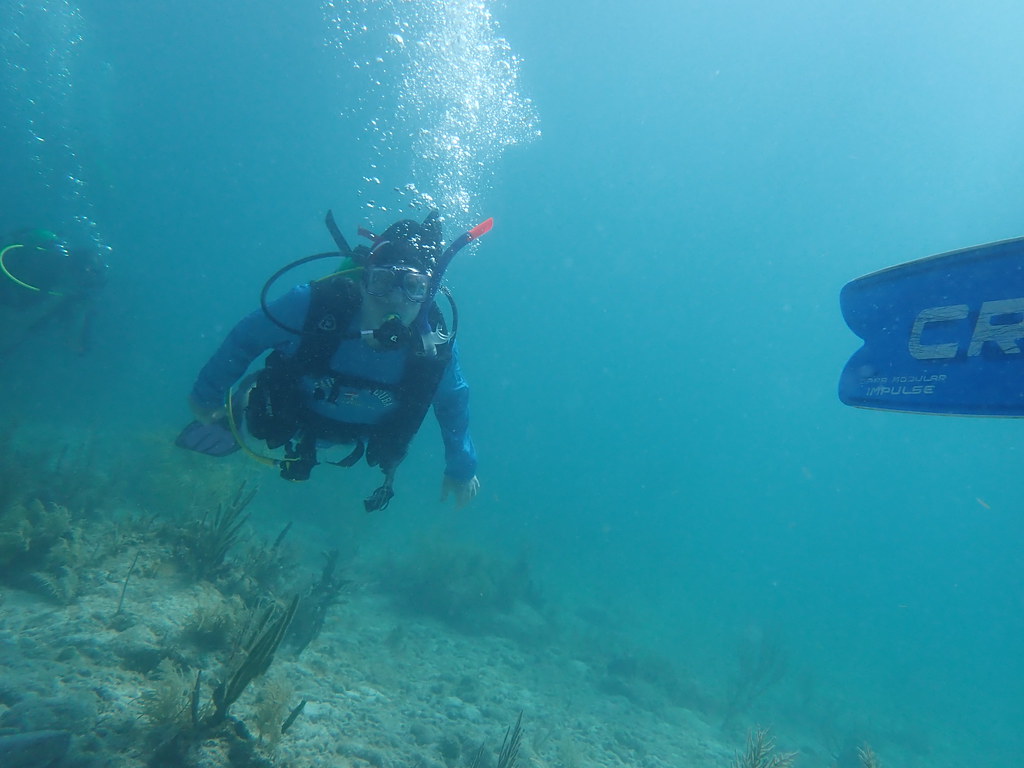 chris dive key largo (69) OLYMPUS DIGITAL CAMERA Flickr