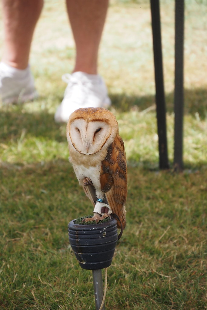 Englefield Green Village Fair Stewart Macfarlane Flickr