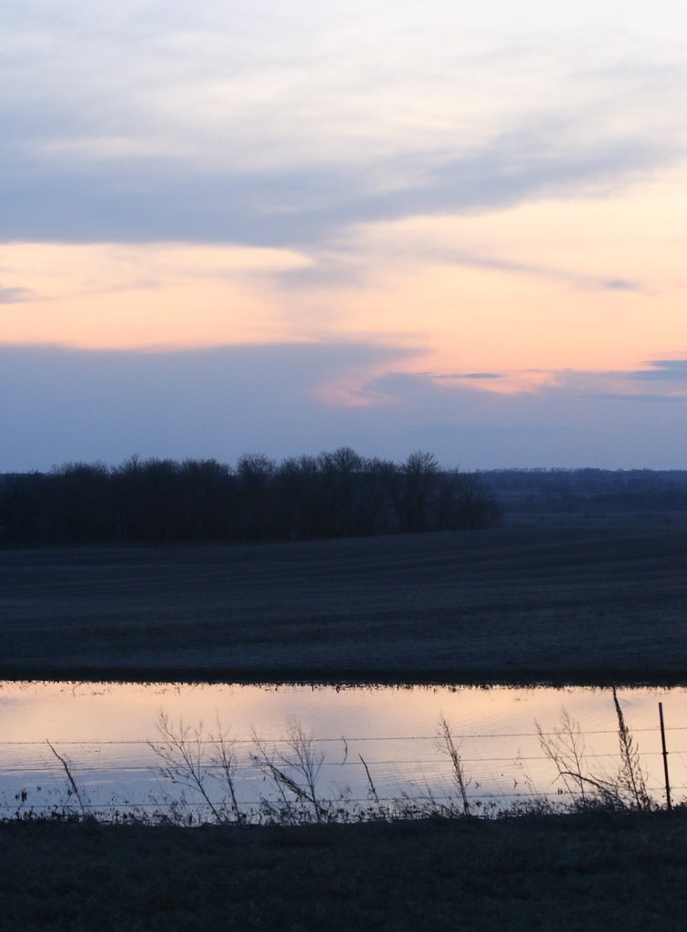 reflections in a golden eye Near Edinburg, ND, on Highway … Flickr