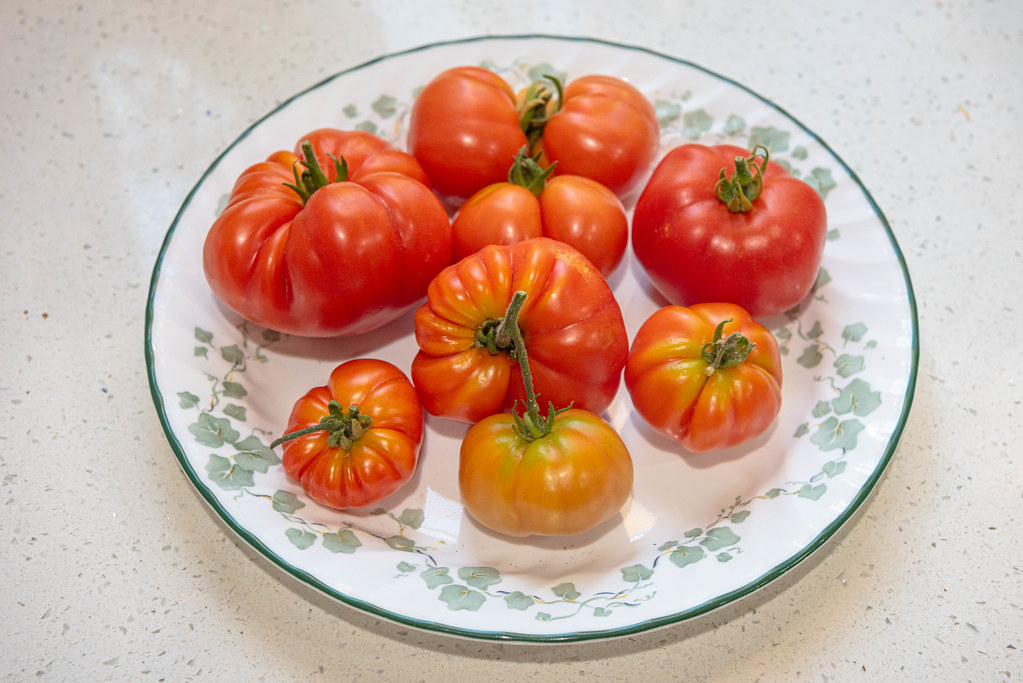 Our Ripe Homegrown Tomatoes June 25, 2023 Our ripe Homeg… Flickr