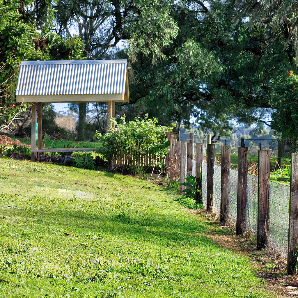 Colac Sheep Farm OLYMPUS DIGITAL CAMERA Rick In Melb Flickr
