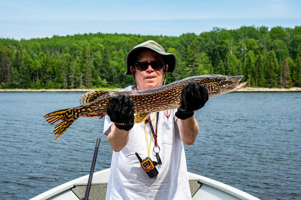 Lac Seul Canada Fishing Trip Nicholas Jones Flickr