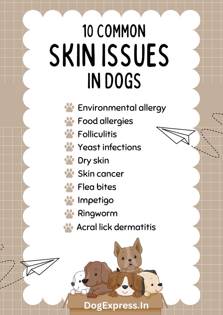 10 Common Skin Issues in Dogs 1 Skin problems are extrem… Flickr
