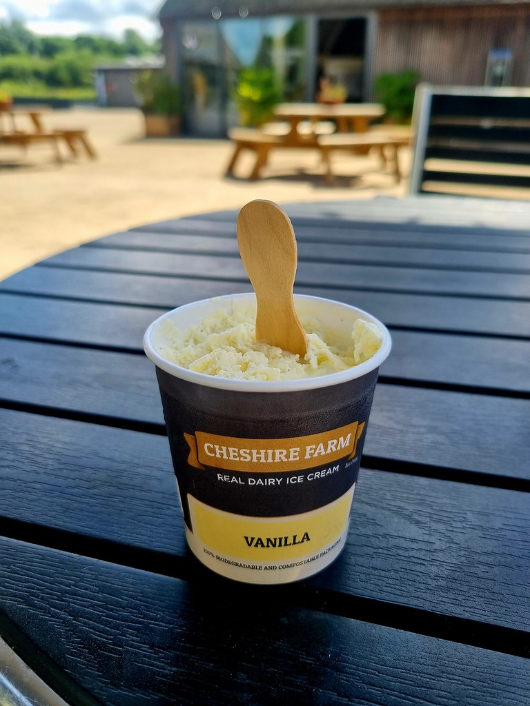 20230626_134215 Sharon Dilworth Flickr