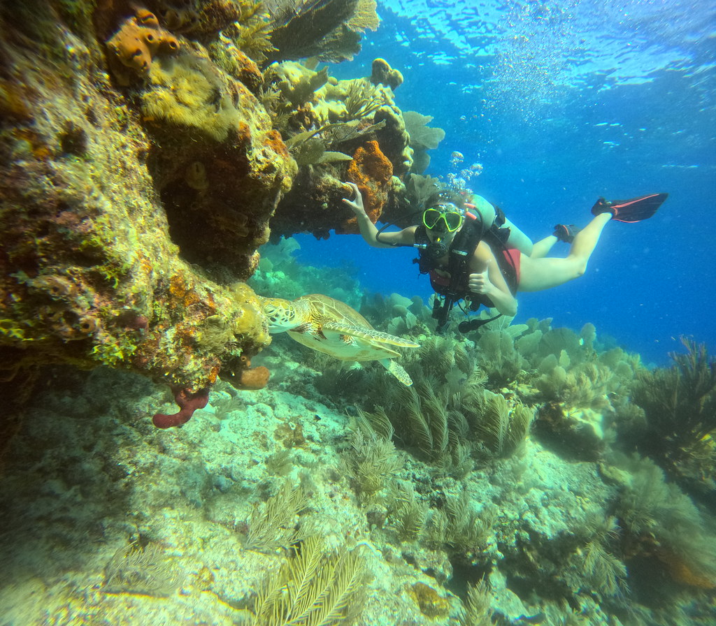 Molasses Reef Key Largo (28) DCIM\100GOPRO\GOPR4980.JPG Flickr