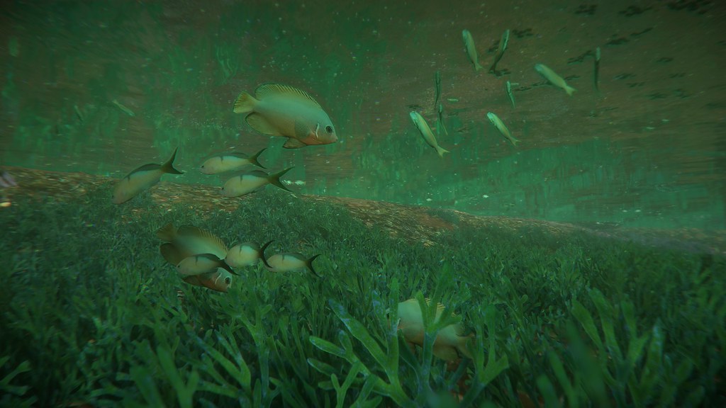 River fish Horizon Forbidden West_20230627184958 Marie Altobelli