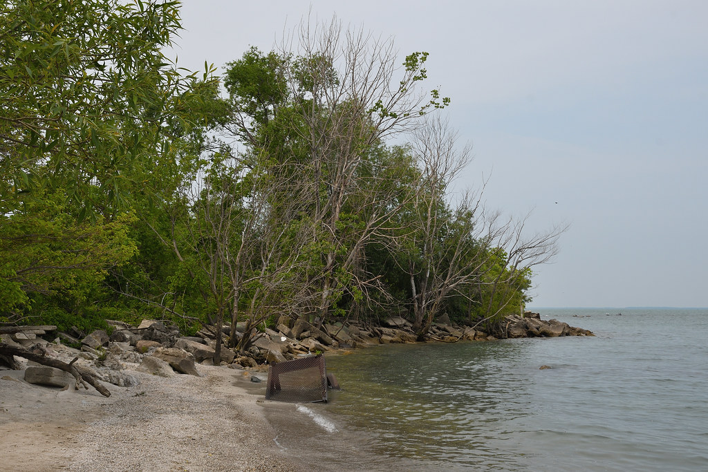 Lake Erie Lake Erie Shoreline from Scheeff East Point Natu… Flickr
