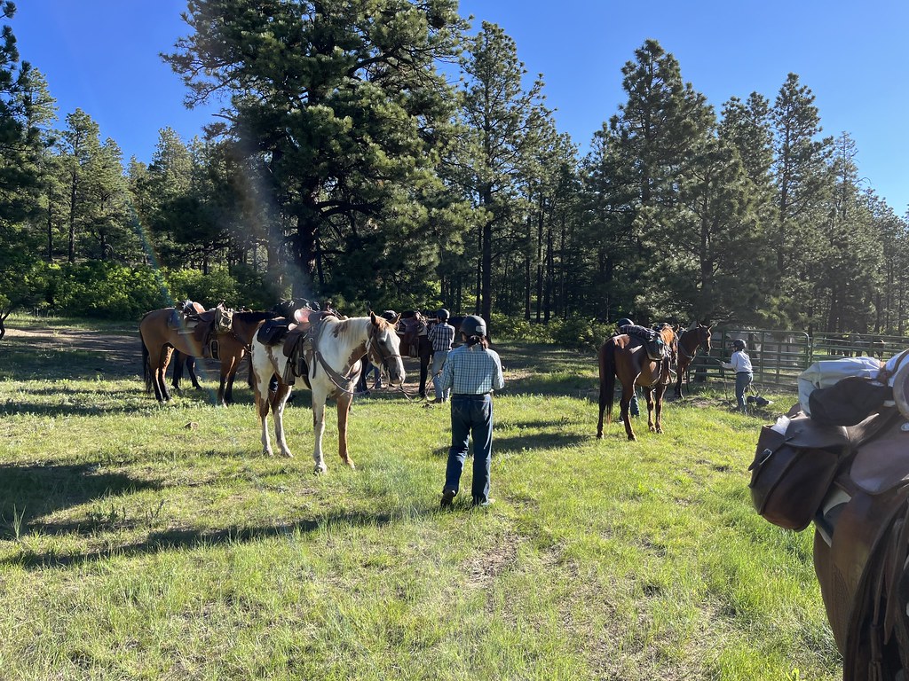 Horse Calvacade Philmont 6/16/23 6/25/23 leftcoastgator Flickr