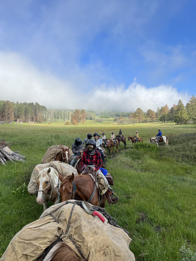 Horse Calvacade Philmont 6/16/23 6/25/23 leftcoastgator Flickr