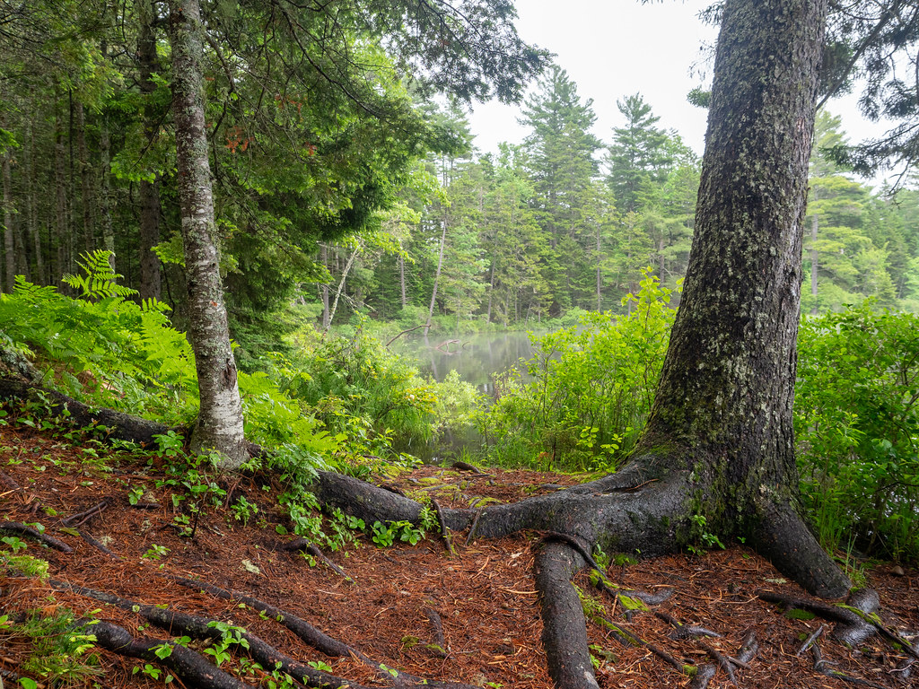 Killarney Lake, Fredericton NB Reon Hart Flickr