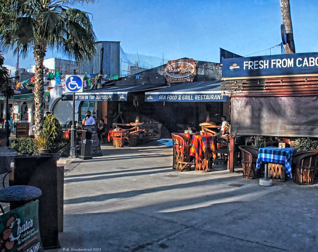 Best Seafood San Jose Del Cabo at Lessie Eaton blog