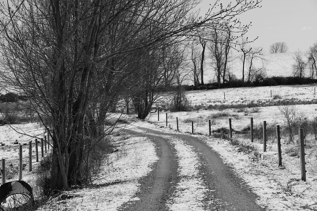 Farm Road HFF John Hart Flickr