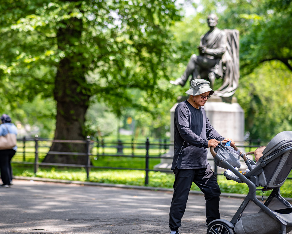 DEV11850 Devon Wood Flickr