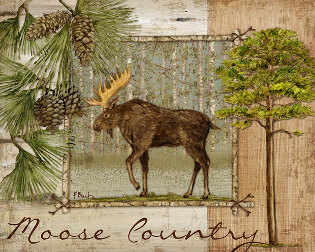 PB11563_Moose Country LSR Licensing Flickr