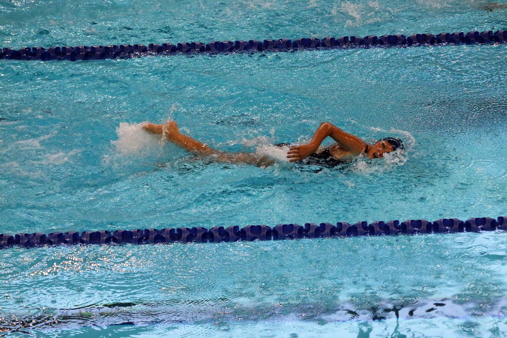 IMG_6102 Halton Hills Blue Fins Swim Club Flickr
