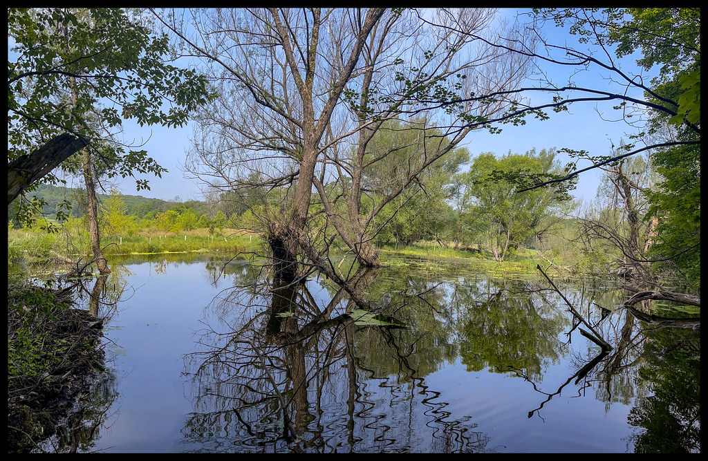 West Branch Papakating Creek Woodbourne Park Wantage N… Flickr