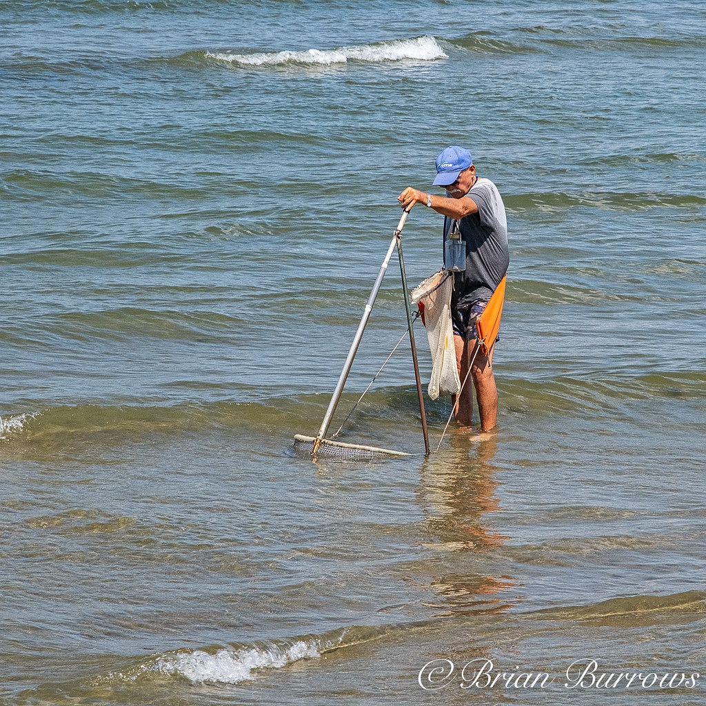 Clam fishing on the beach at Viareggio Brian Burrows Flickr
