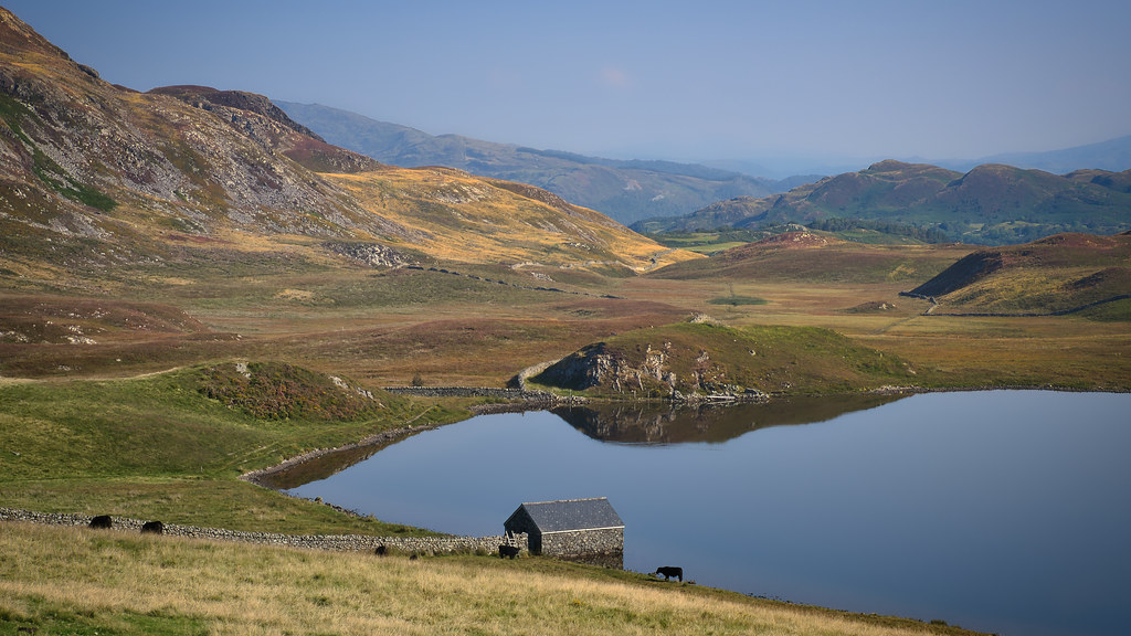 Llynnau Cregennan Cregennan estate, Snowdonia, Gwynedd, Wa… Welsh