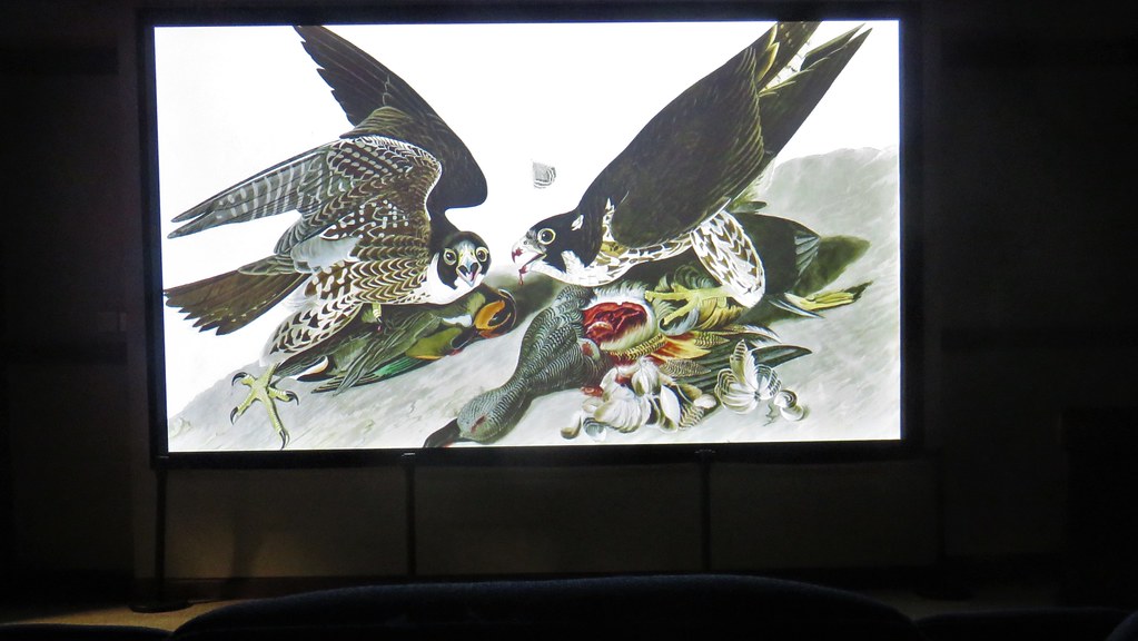 501c HENDERSON KY AUDUBON MUSEUM AND NATURE CENTER 16 Flickr