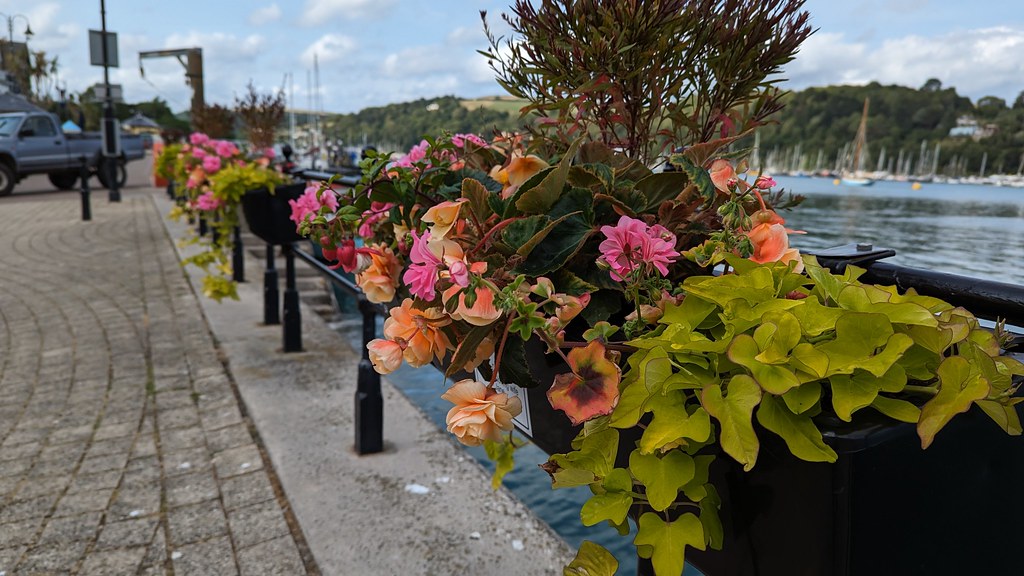 Dartmouth Flowers Max Piper Flickr