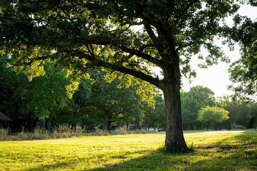 Hulbert, OK 7/2/23 Sharon Mollerus Flickr
