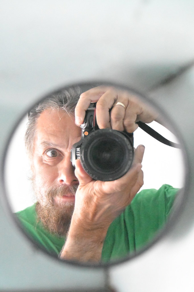 ROB_3285 Robert Rolfe Flickr