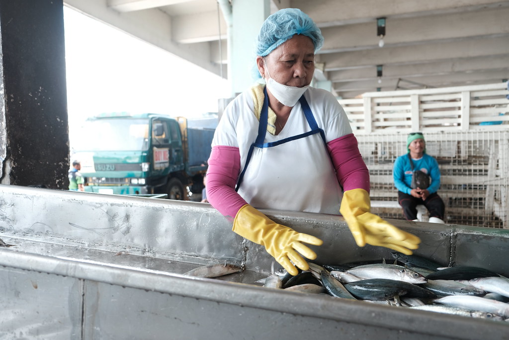 Fish workers and harvesters in the Philippines Women are v… Flickr