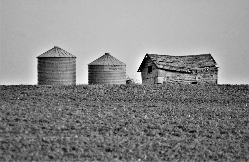 Grain bins. Doug Burba Flickr