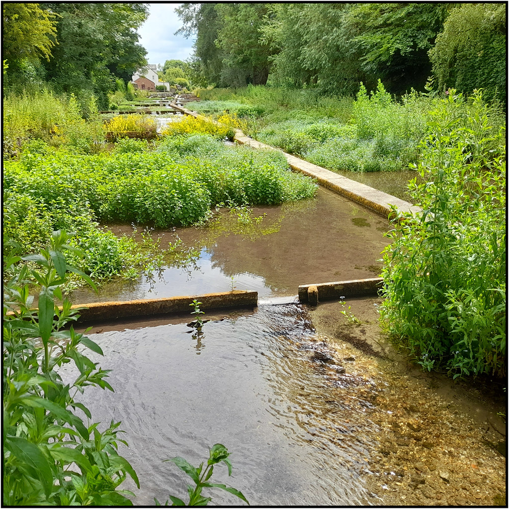ewelme natural watercress beds all rights reserved by len … Flickr