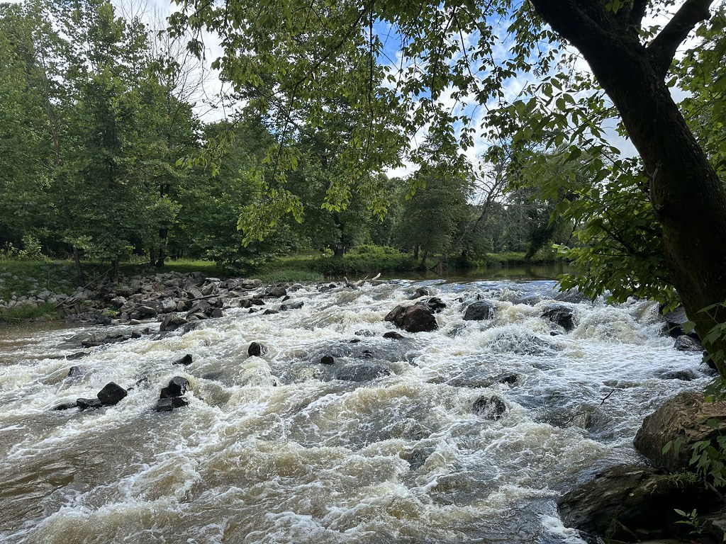 Tallapoosa River in north Jason Rogers Flickr