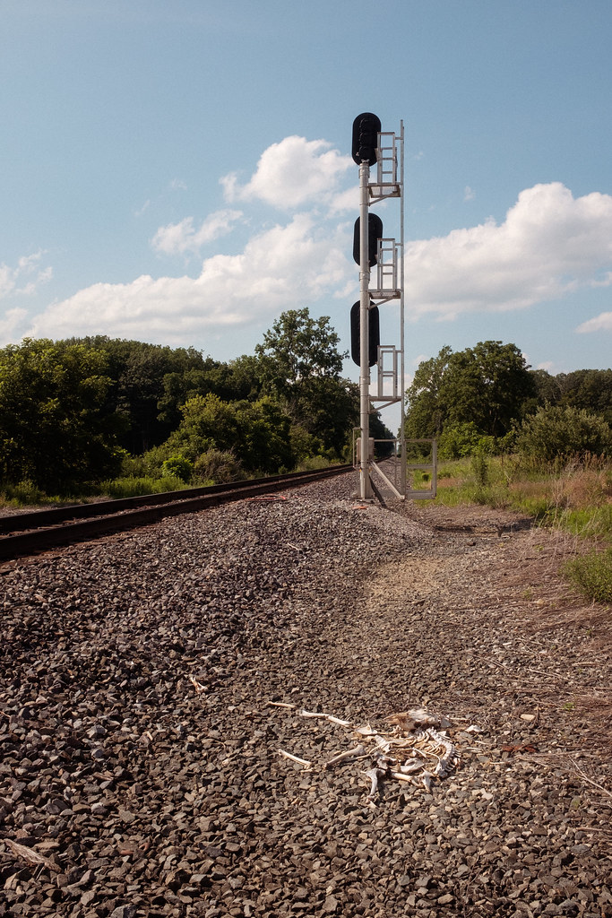 Mt. Victory, OH 2023 Preston Rose Flickr