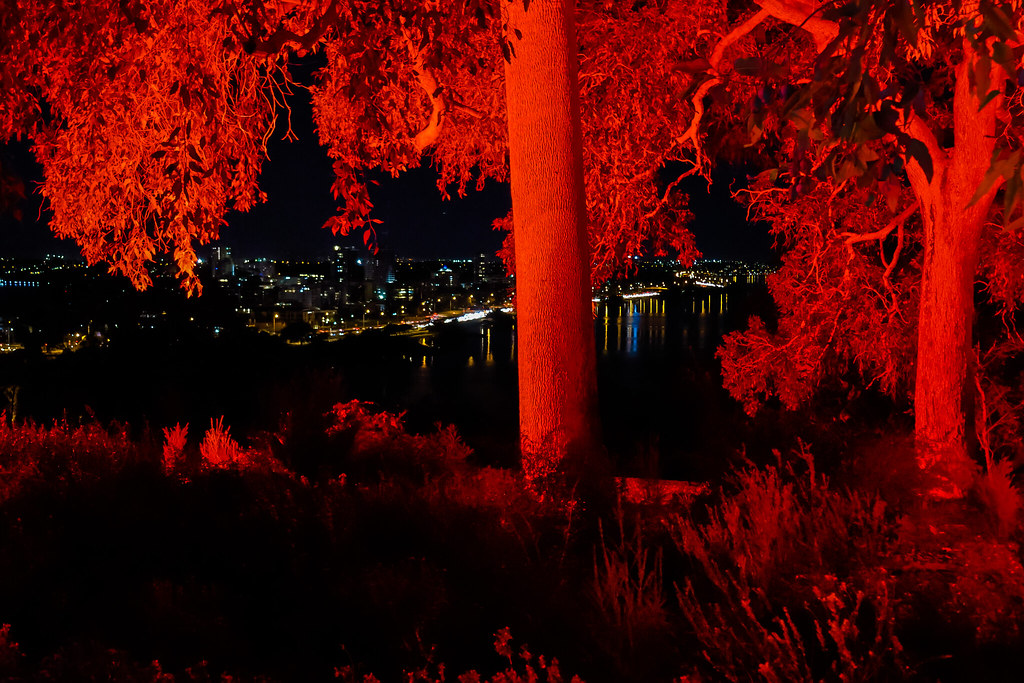 Perth Western Australia Perth was alive with color in King… Flickr