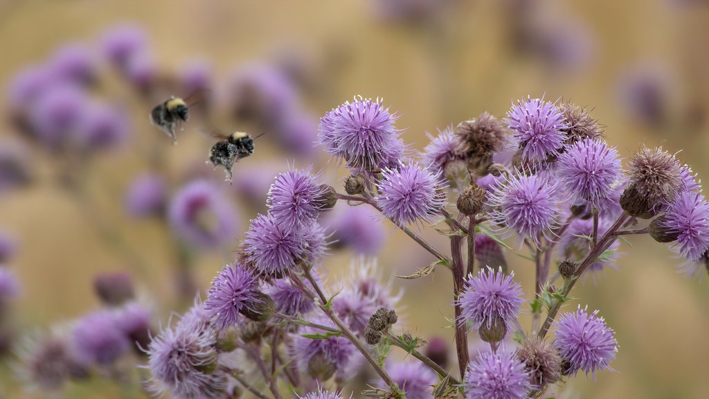 LBY02418studio Lance Youngquist Flickr