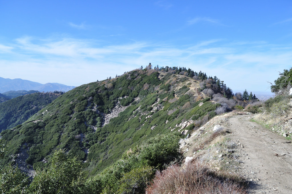 129 Bailey Peak Trail Views (71) Peak 5691 Seen On Retur… Flickr