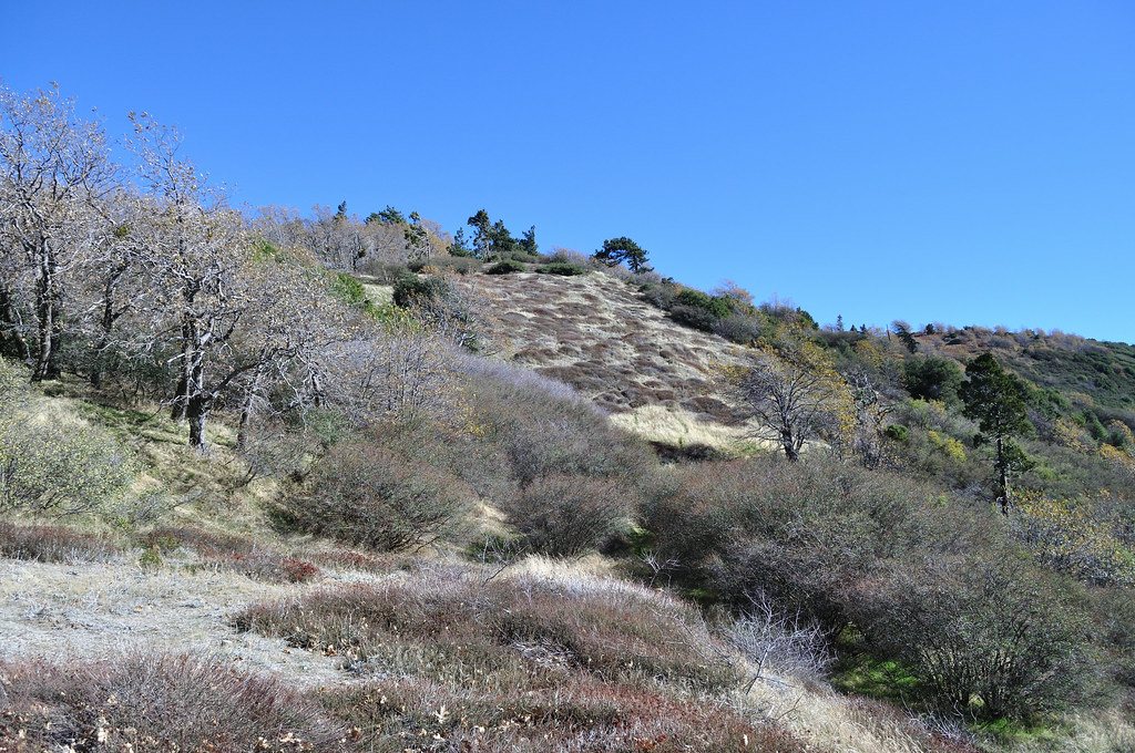 051 Bailey Peak Trail Views (47) The Fun Chronicles Flickr