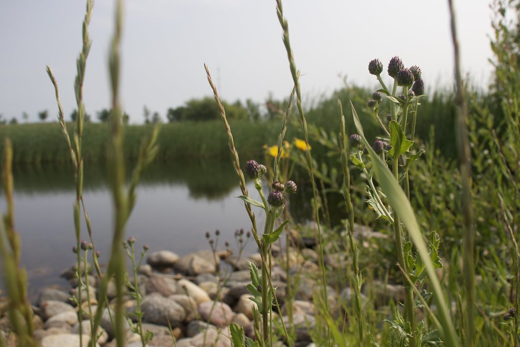 IMG_5995 Madeline Lewis Flickr