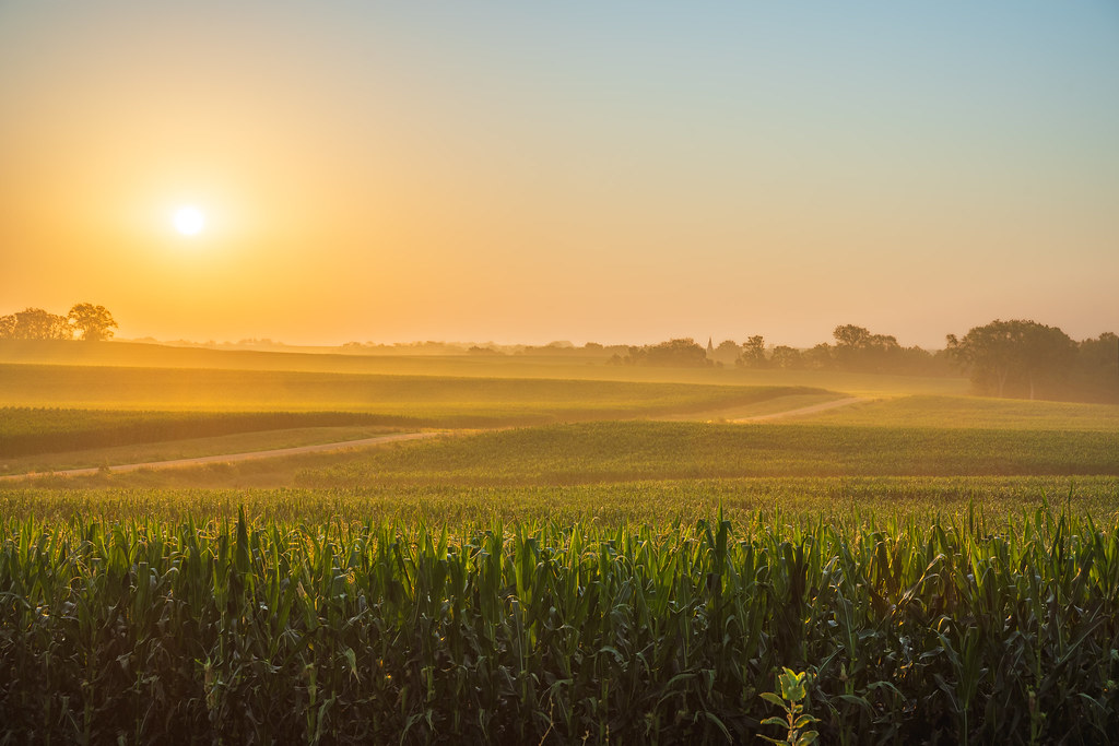 Country Morning Ceresco, NE Jason Myers Flickr