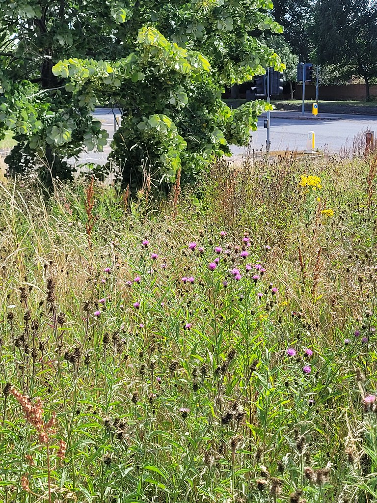 Holgate Park York CARL SPENCER Flickr