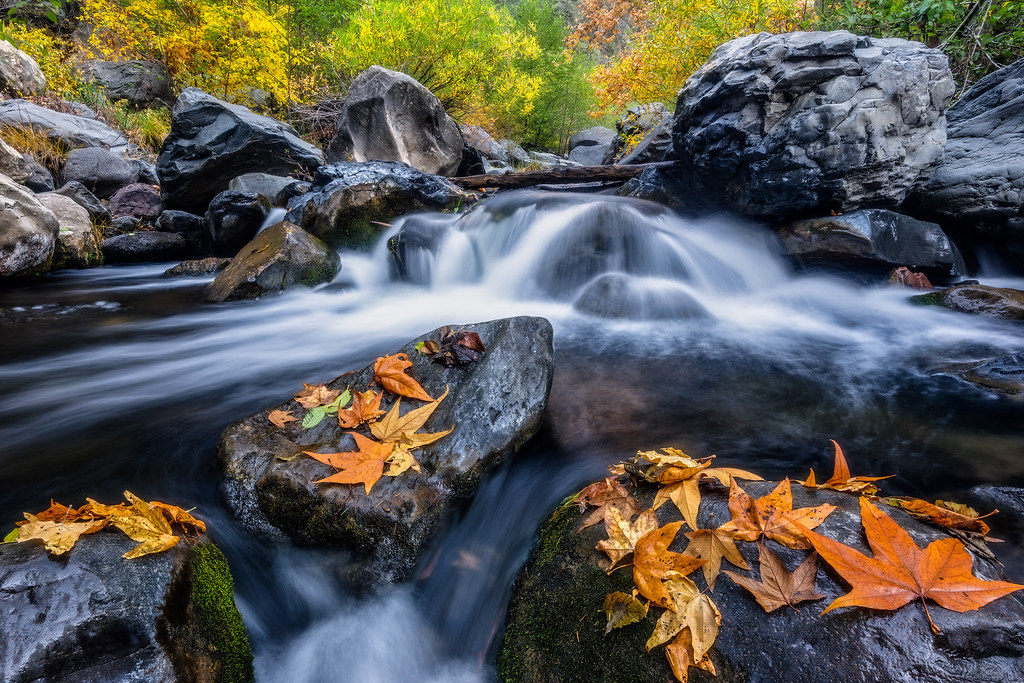 Oak Creek Chill With near record temperatures on tap for t… Flickr