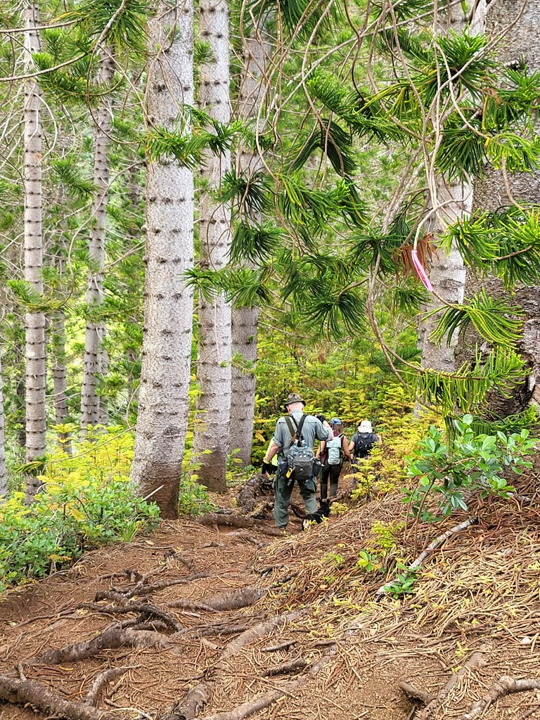 IMG_3890 Richard Seaquist Flickr